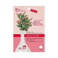 Маска тканевая миротамнус Mijin BSC Resurrection Plant Essence Mask 25g
